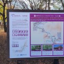 김삿갓면-41 이미지