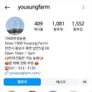 유성농장 4농장 네이버블로그