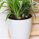 에이치엠 이미지