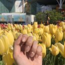 로벨리아네일 | 고양시 일산 데이트|23년 고양국제꽃박람회 후기, 일산 밤리단길 찐 맛집, 유유 샤브, 갬성 배경화면...