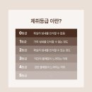 우드향 | 바이아우어 약산성 퍼퓸 아로마 바디워시 앰버우드향, 후기로 만나는 촉촉함과 고급스러운 향