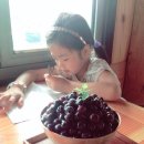 카페누마루