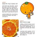 훈이네농장 이미지