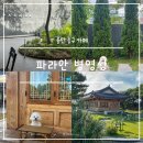 울산 중구 카페 파라안 병영성 애견동반 한옥 대형 베이커리 내돈내산 후기