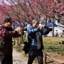 제100주년 3.1절 기념 3.1만세운동 재현행사 (대구광역시 중구) 이미지