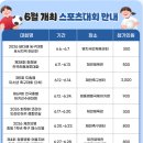 봉양건강축구캠프장 | 2026년 6월 제천 스포츠대회 일정 총정리! 축구·배구·하키·리듬체조·인라인 전국대회 한눈에 보기