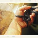 관용농장 이미지