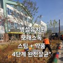 금사초등학교병설유치원 네이버블로그