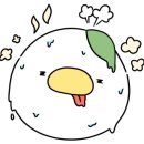 스파오라스칼프