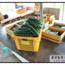 종진농장 이미지