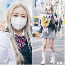 화이트빌리 이미지