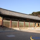 황금복돼지 이미지