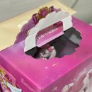 케이크플래닛 | [내돈내산]아이생일 케이크 | 뚜레주르 하츄핑의 스타플래닛 언박싱 후기🎂