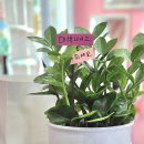 이문안로113번길 이미지