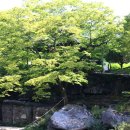 북상용암정 이미지