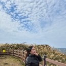 우성렌터카 | 첫 제주여행 제주 애월 코스 조천 코스 카페 델문도 우진해장국 넉둥베기 주말 아침 웨이팅 후기