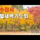 2022년 11월 14일 추수감사특새 실시간 영상 이미지