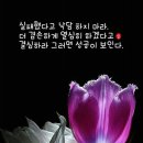 쎄씨봉