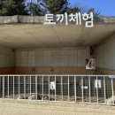 가평 양떼목장 이미지