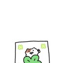 샤크멀티짐 네이버블로그