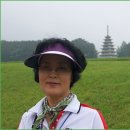 정심무역 이미지