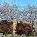 마산합포구 ⓘ-4 이미지