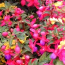 이재홍내과의원 이미지