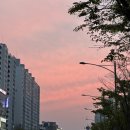 맘스터치(강남약국점) 이미지