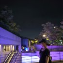 윤스레 이미지