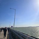 운동일기 - 평택항 마라톤 10km 후기