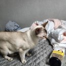 이더웰 이미지