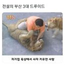 전설의 부산 3대 드루이드 이미지