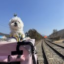 네모난동그라미