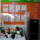 김해여성인력개발센터(김해YWCA) 이미지