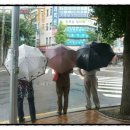 우리집부동산중개사무소 이미지