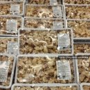 코스트코코리아 상봉점 이미지