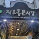 토다게스트 이미지