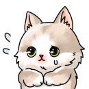 카페델피노 인근 이미지