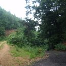 추곡낚시터 이미지