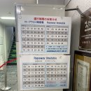구산성지 | 오타루 성지순례 러브레터 촬영지 텐구야마 전망대 방문 후기