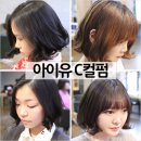 싹뚝머리 Hair
