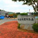 오케이아리랑 이미지