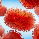 메디컬마트 이미지