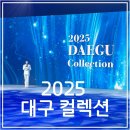 유통단지로14길 | 2025 대구 컬렉션 곽현주 최복호 대구 가볼만한곳 패션쇼 후기
