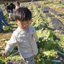 트리플농장 이미지