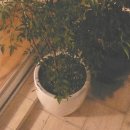 THE H모텔 이미지