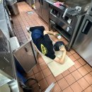 (주)하나알씨 | 월화수 먹금 토일