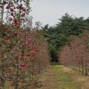 계촌농장 이미지