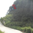 신서면-1 이미지