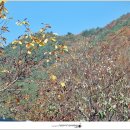 산장가든 이미지